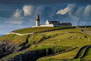 The Kyiv Independent: Irlanda susţine aderarea Ucrainei la Uniunea Europeană